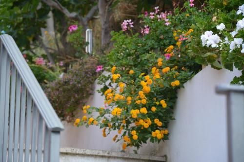 Outdoor Pictures 22