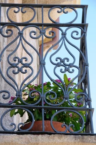Outdoor Pictures 15