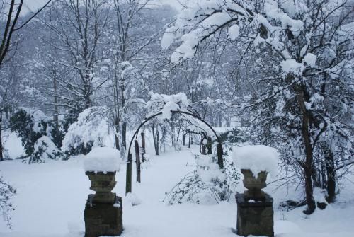Outdoor Pictures 20