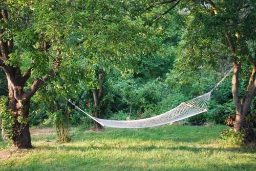 Outdoor Pictures 23