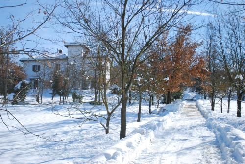 Outdoor Pictures 21