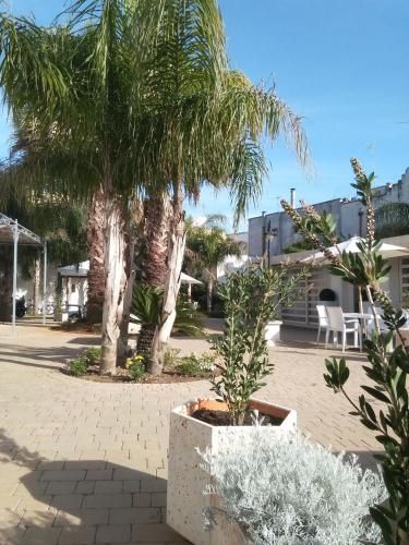 Outdoor Pictures 1