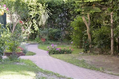 Outdoor Pictures 23