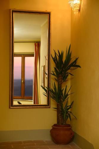 Outdoor Pictures 15