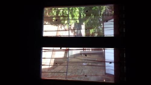 Outdoor Pictures 17