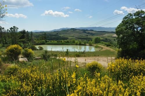 Outdoor Pictures 22
