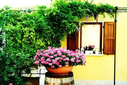 Outdoor Pictures 22