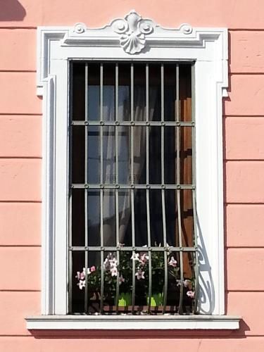 Outdoor Pictures 22