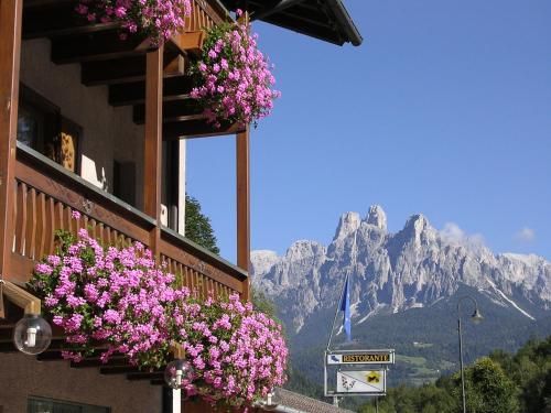 Outdoor Pictures 23