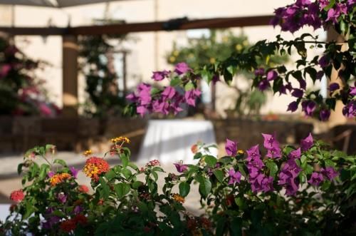 Outdoor Pictures 12
