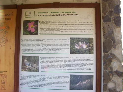 Outdoor Pictures 11