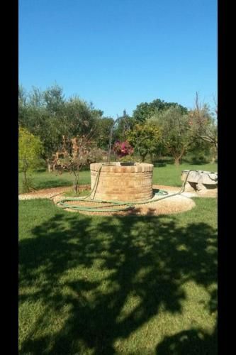 Outdoor Pictures 17