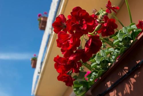 Outdoor Pictures 20