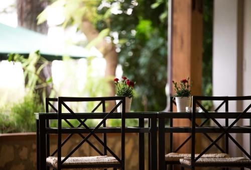 Outdoor Pictures 23