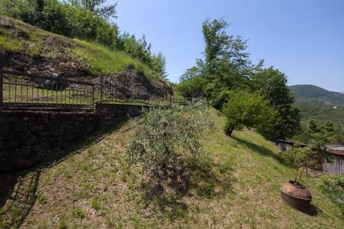 Outdoor Pictures 22