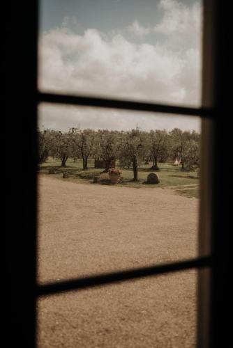 Outdoor Pictures 17