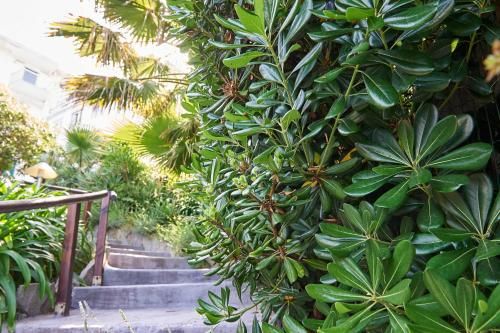 Outdoor Pictures 22