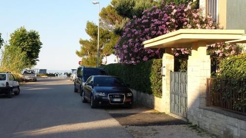 Outdoor Pictures 22