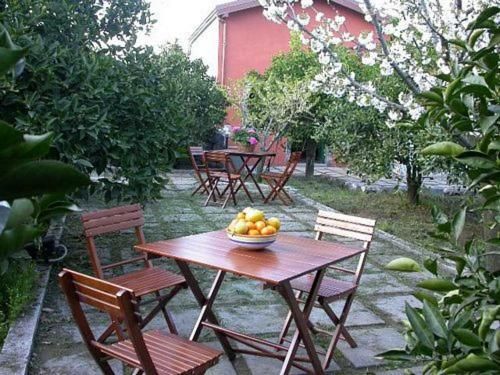 Outdoor Pictures 17