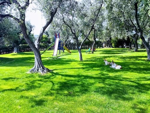 Outdoor Pictures 20
