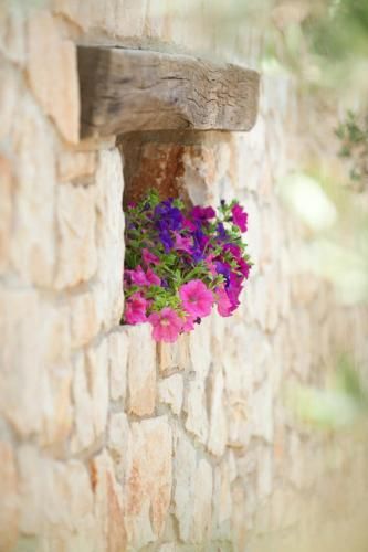 Outdoor Pictures 19