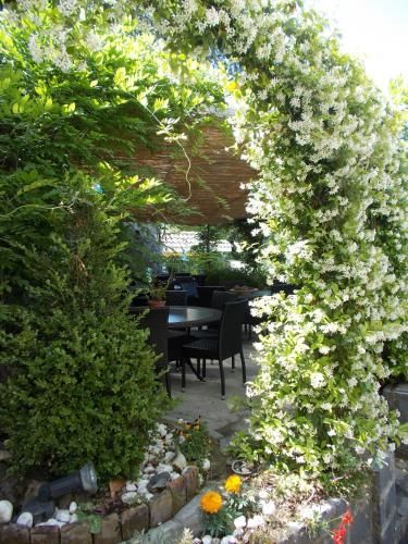 Outdoor Pictures 18