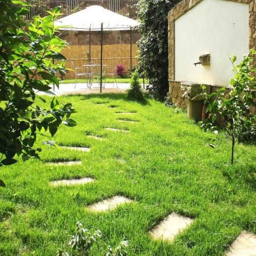 Outdoor Pictures 21