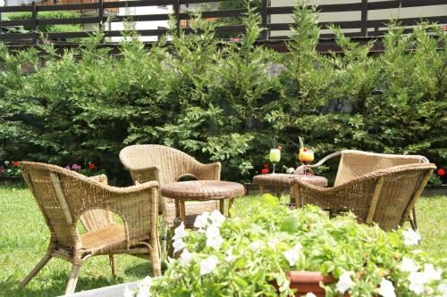 Outdoor Pictures 23