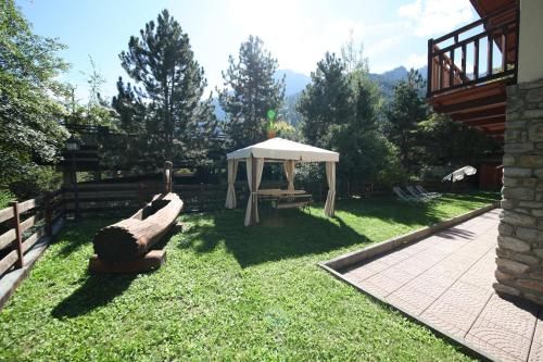 Outdoor Pictures 21