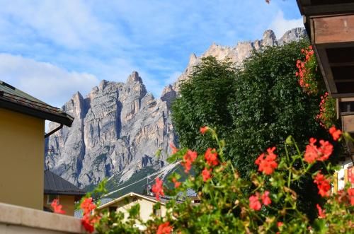 Outdoor Pictures 20