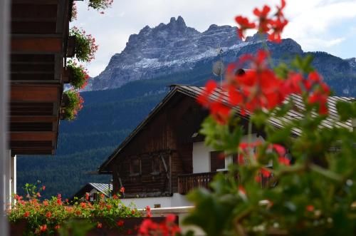 Outdoor Pictures 23