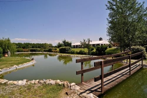Outdoor Pictures 22