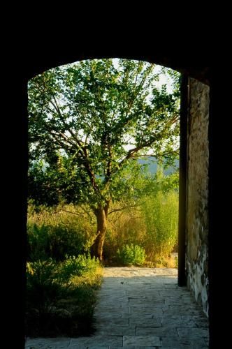 Outdoor Pictures 22