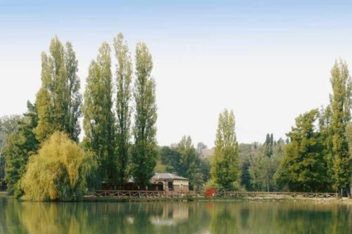 Outdoor Pictures 24