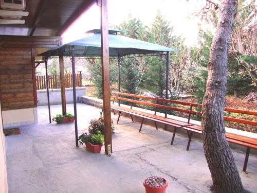 Outdoor Pictures 18