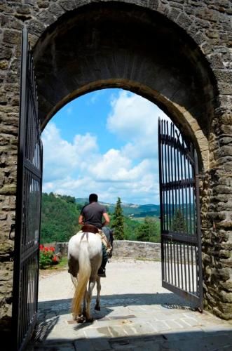 Outdoor Pictures 23