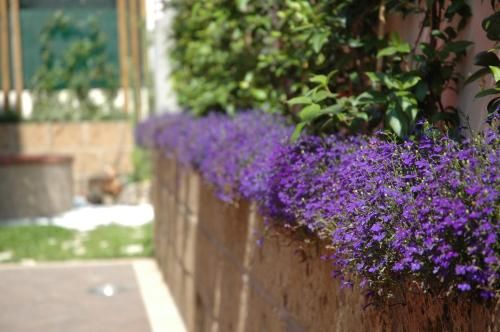 Outdoor Pictures 21