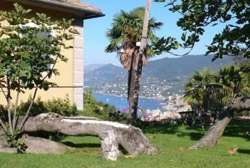 Outdoor Pictures 15