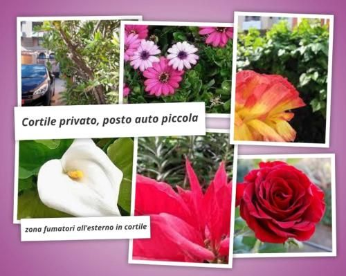 Outdoor Pictures 14