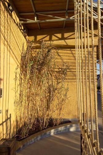 Outdoor Pictures 22