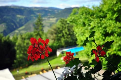 Outdoor Pictures 16