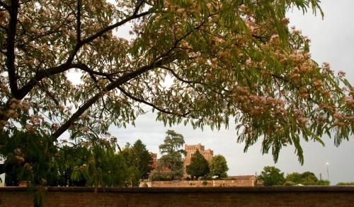 Outdoor Pictures 24
