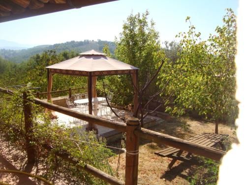 Outdoor Pictures 24
