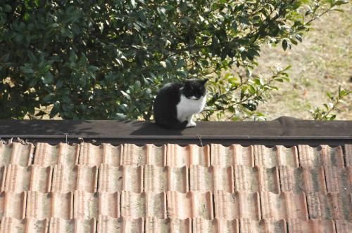 Outdoor Pictures 21