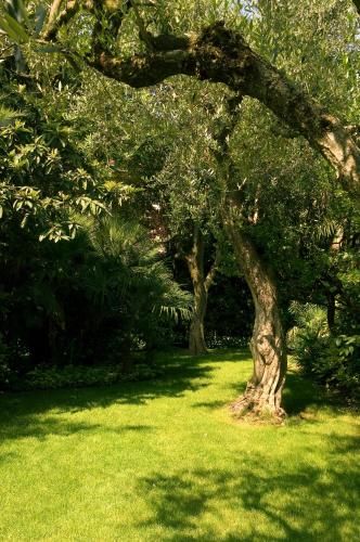 Outdoor Pictures 20