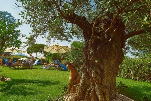 Outdoor Pictures 24