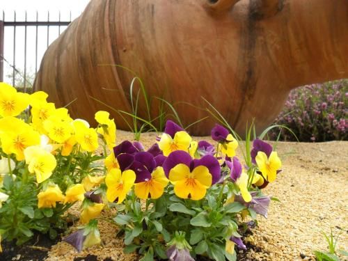 Outdoor Pictures 13