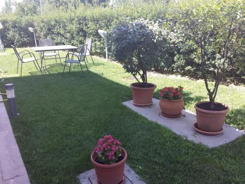 Outdoor Pictures 7