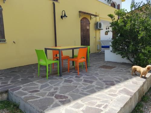 Outdoor Pictures 9