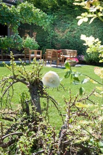 Outdoor Pictures 21